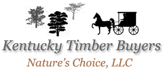 Kentucky Timber Buyers